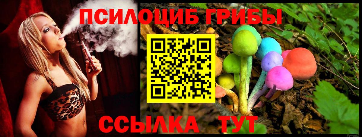 Псилоцибиновые грибы Cubensis Тольятти