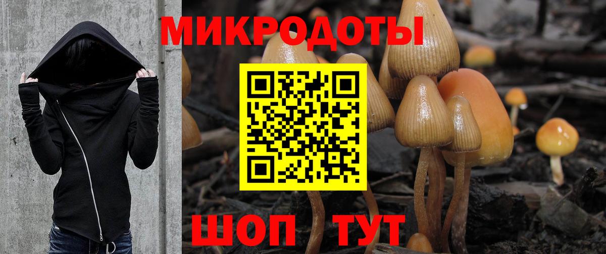 Тольятти  Псилоцибиновые грибы мухоморы  Псилоцибиновые грибы ЛСД  даркнет сайт  Вход с VPN 